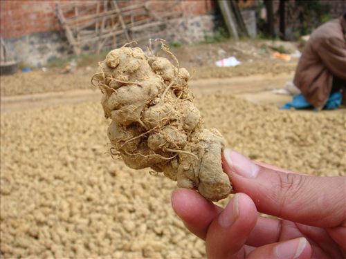 精品消费网