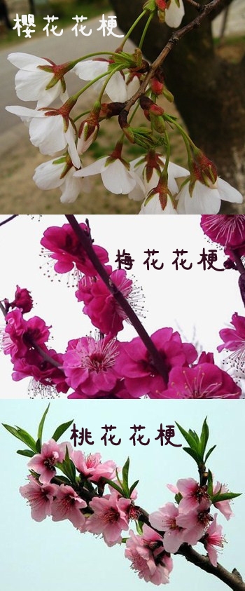 教你如何辨别各种花