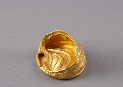 马蹄金