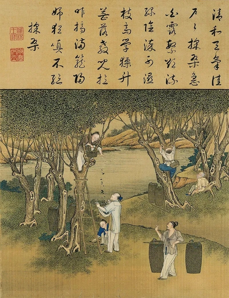 640 (29)_副本.jpg
