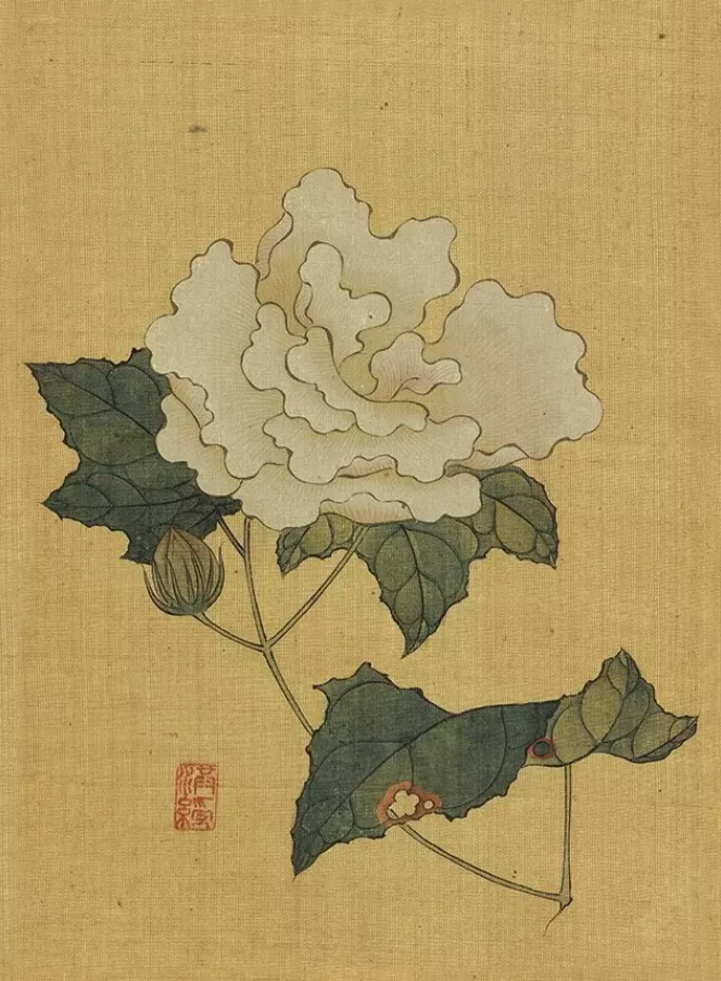 1-260I11550051P.png