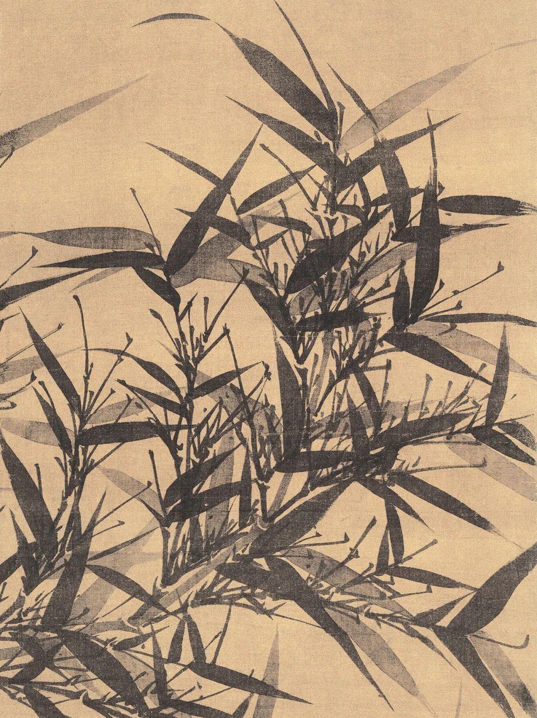 v2-c2335c9b4760b8899f8eace853b97b9a_r.jpg