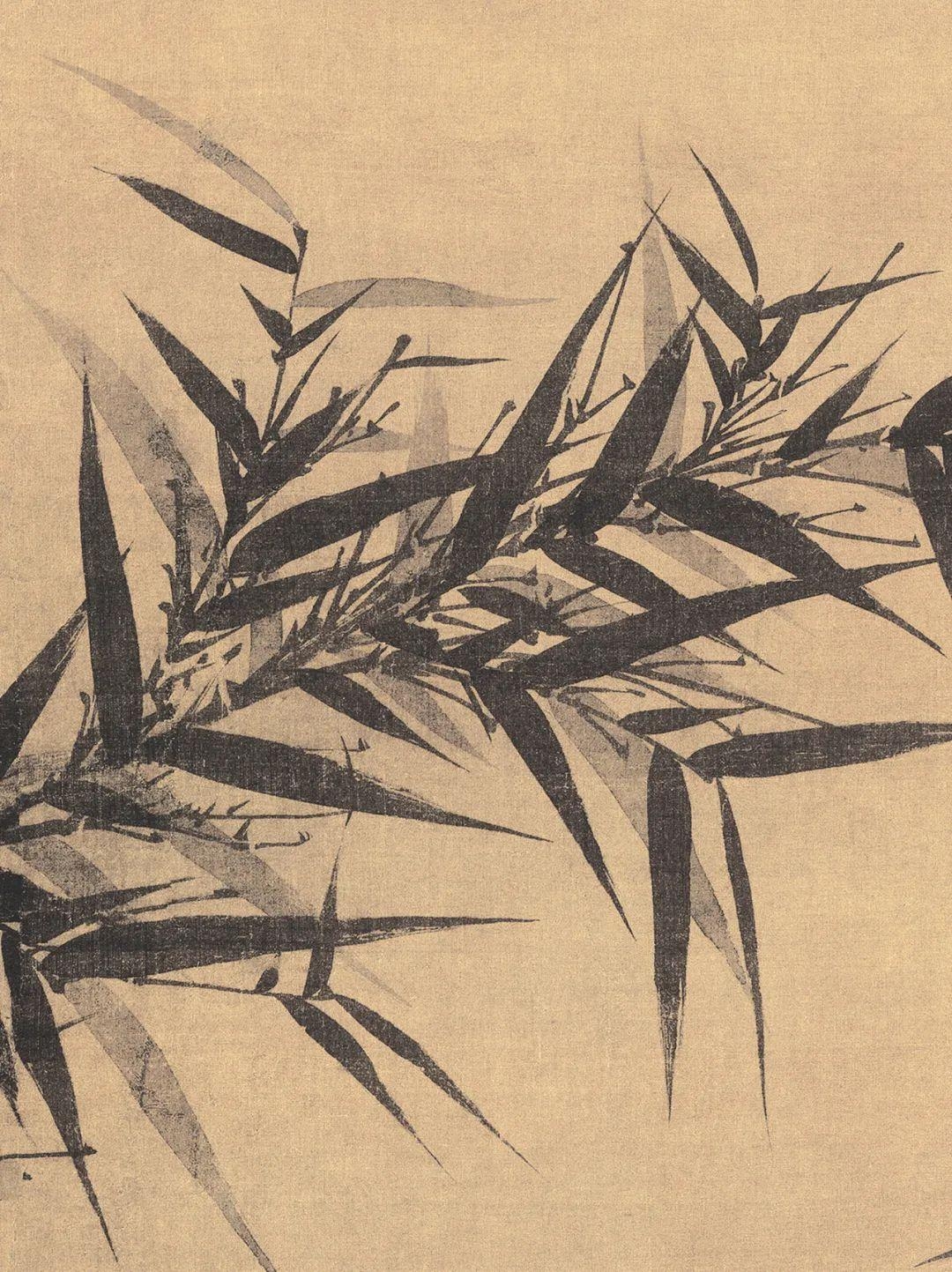 v2-a4a710d2ba47cbcc24652e842f73e5d5_r.jpg