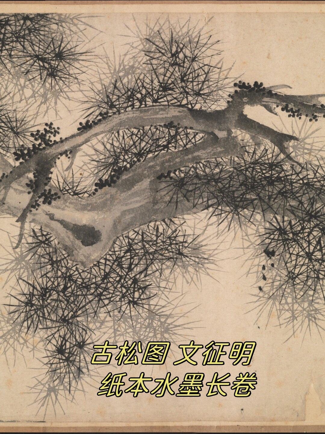 8694a4c27d1ed21b179adf643c6ab8c950da3ff5.jpeg