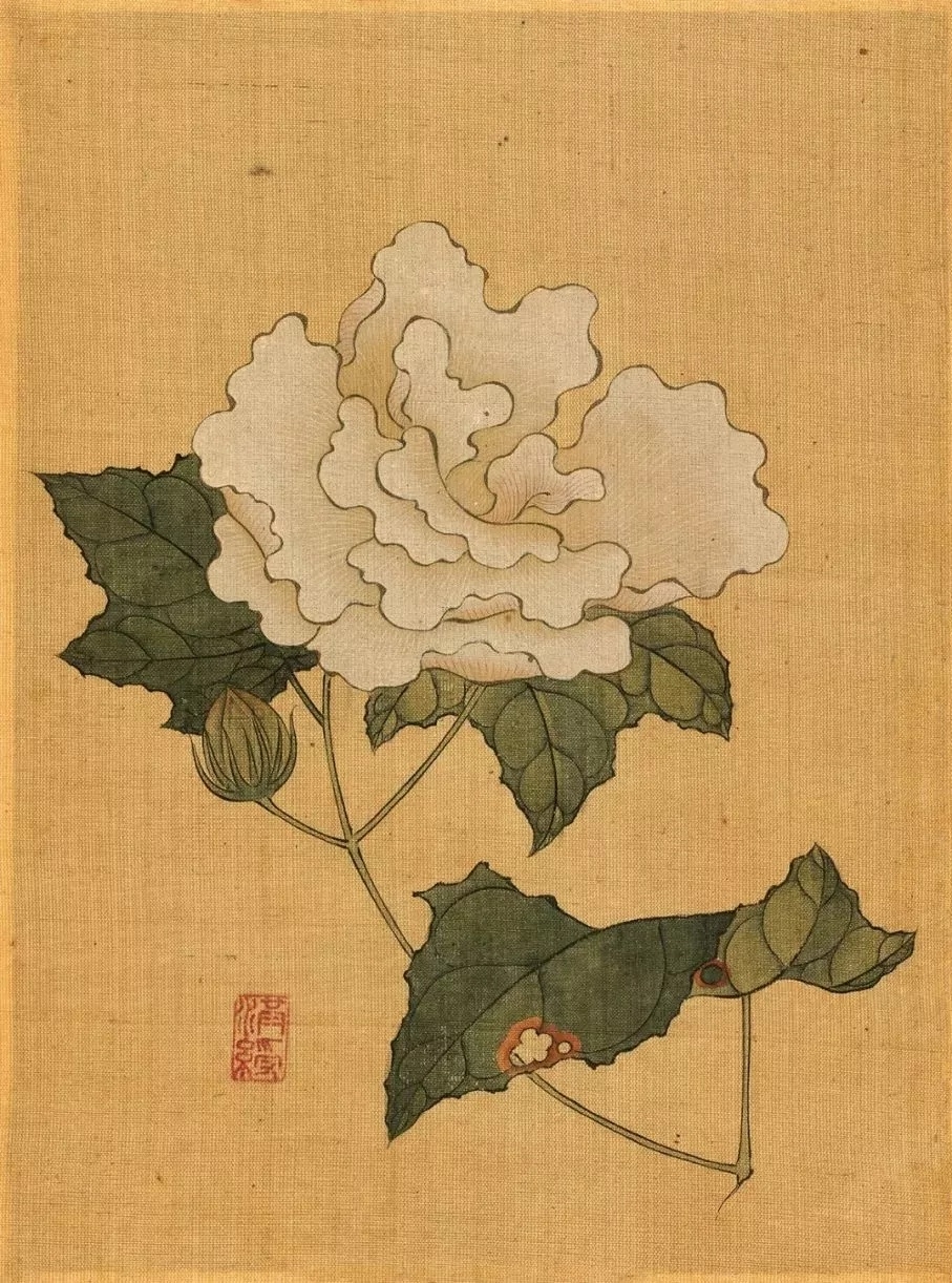 640 (5)_副本.jpg