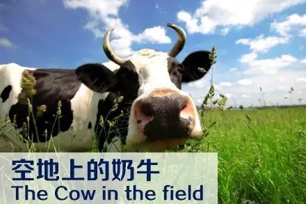 f7246b600c338744eda64e3d492e01f1d72aa03d_副本.jpg