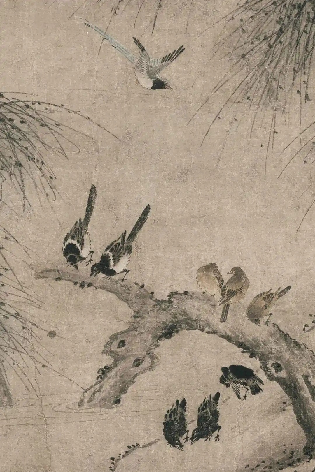 f9198618367adab4460b032b9f31720c8501e4f0_副本.jpg