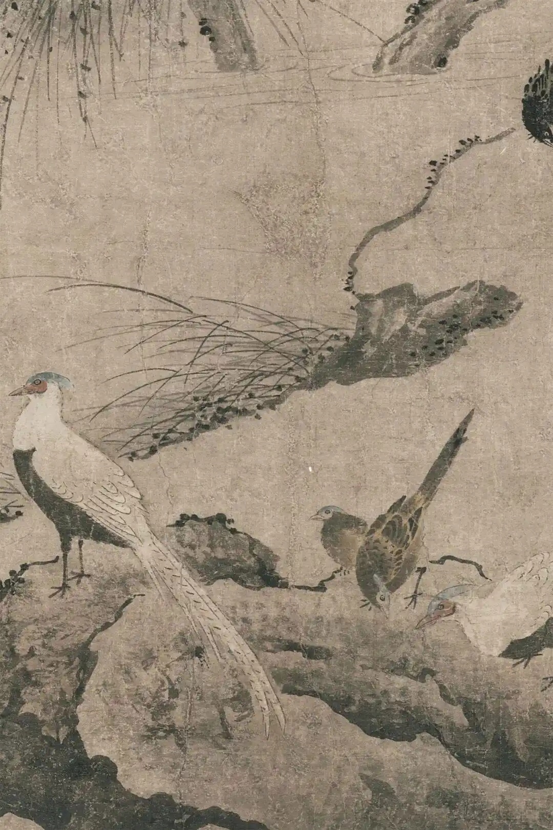 e824b899a9014c0890e7566c1e9ec31879f4f415_副本.jpg