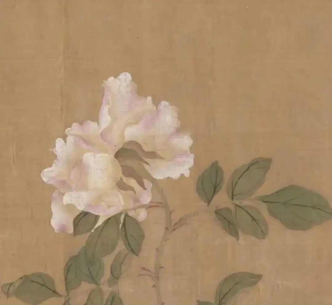 09fa513d269759ee9e363d87adfb4a196d22df23_副本.jpg