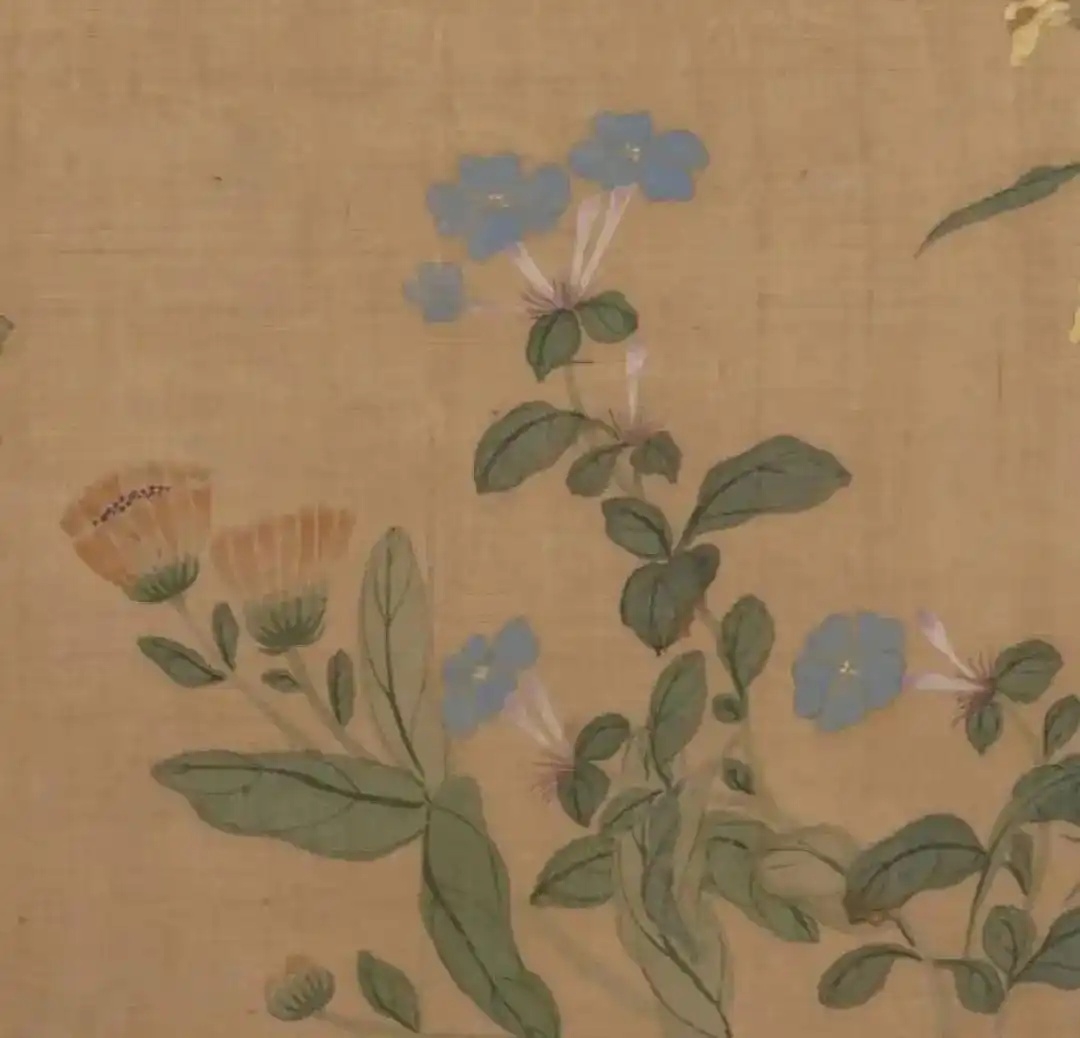 1ad5ad6eddc451daa1d7a9f4a9fd5b69d016329e_副本.jpg