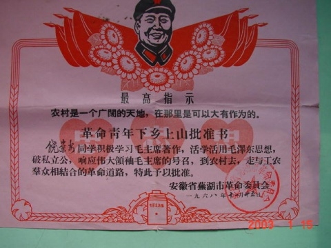 0F6154348-16.jpg