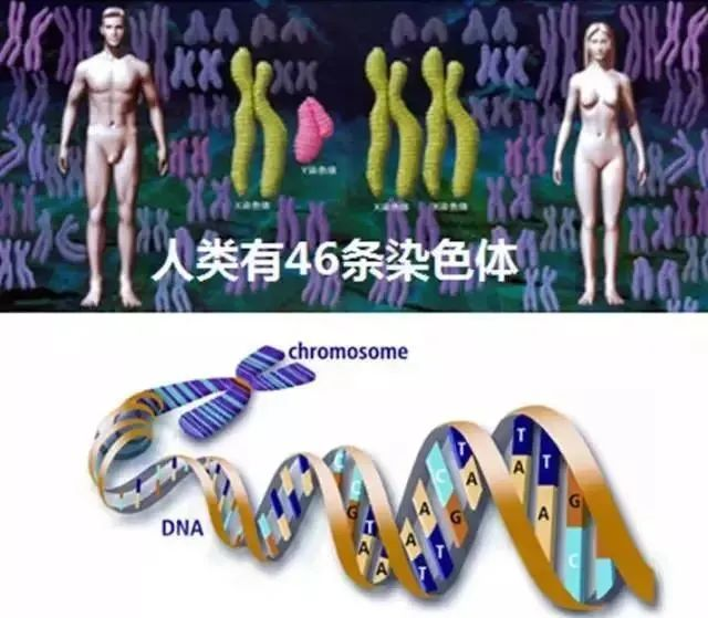f3c1dc5eae0b4a55c50678aa4102dba3.png