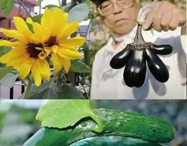 cbdb9a4005f89b433d78aaa07131f3e1.png