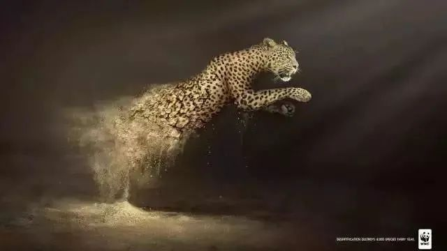 6f997ea334b08f1de10850532d18d708.png
