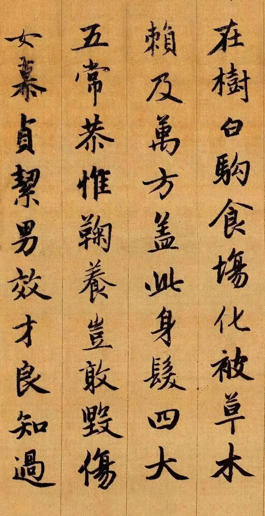 f603918fa0ec08fa78762e95d3c0486055fbda4d.webp