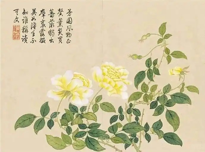 738b4710b912c8fc4641a8c155f1a255d788210a_副本.jpg