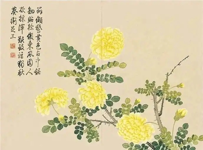 5bafa40f4bfbfbed7e4a4599d002c726adc31fc3_副本.jpg