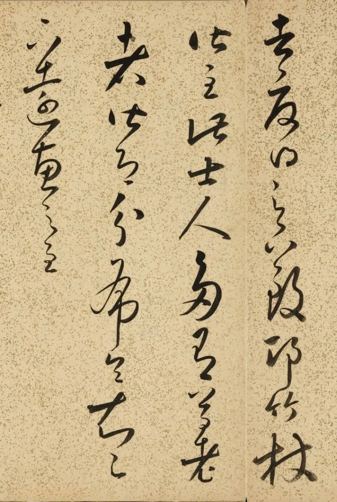640 (11)_副本.jpg