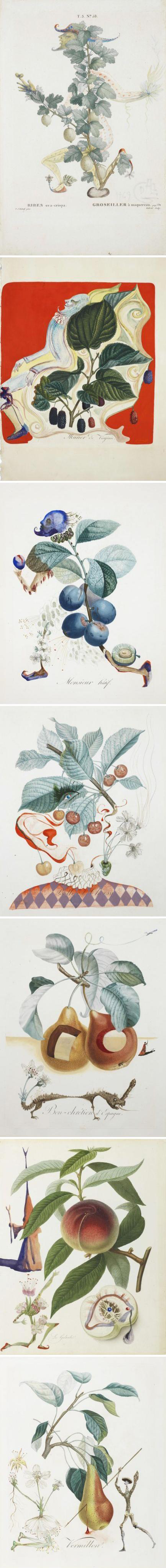 Salvador Dali萨尔瓦多·达利的“水果达利”(FruitDali)画