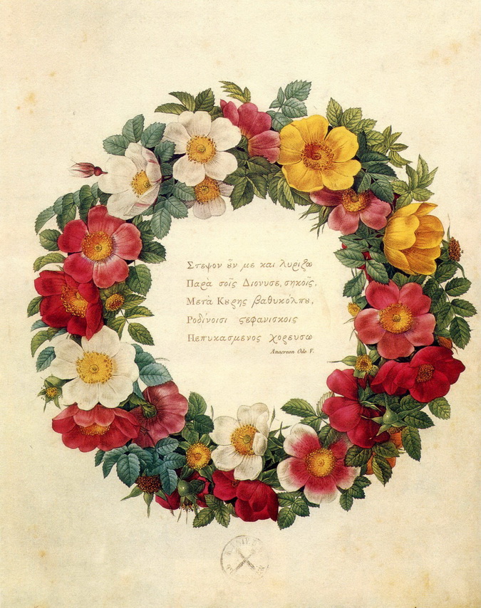 法国画家皮埃尔-约瑟夫 雷杜德《玫瑰圣经》（Les Roses）