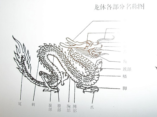 清代钱币中的“龙”图