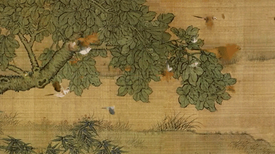 从宋朝花鸟画中飞出来的禽鸟