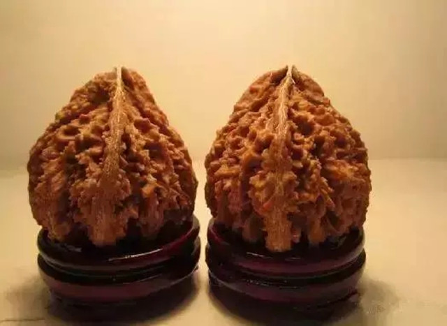 十种绝迹的野生文玩核桃