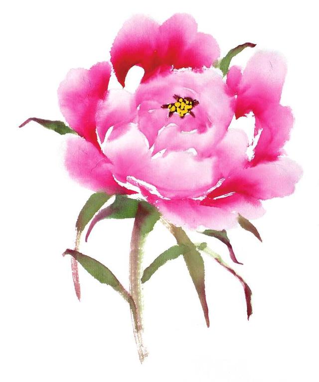 牡丹花头的三十种画法