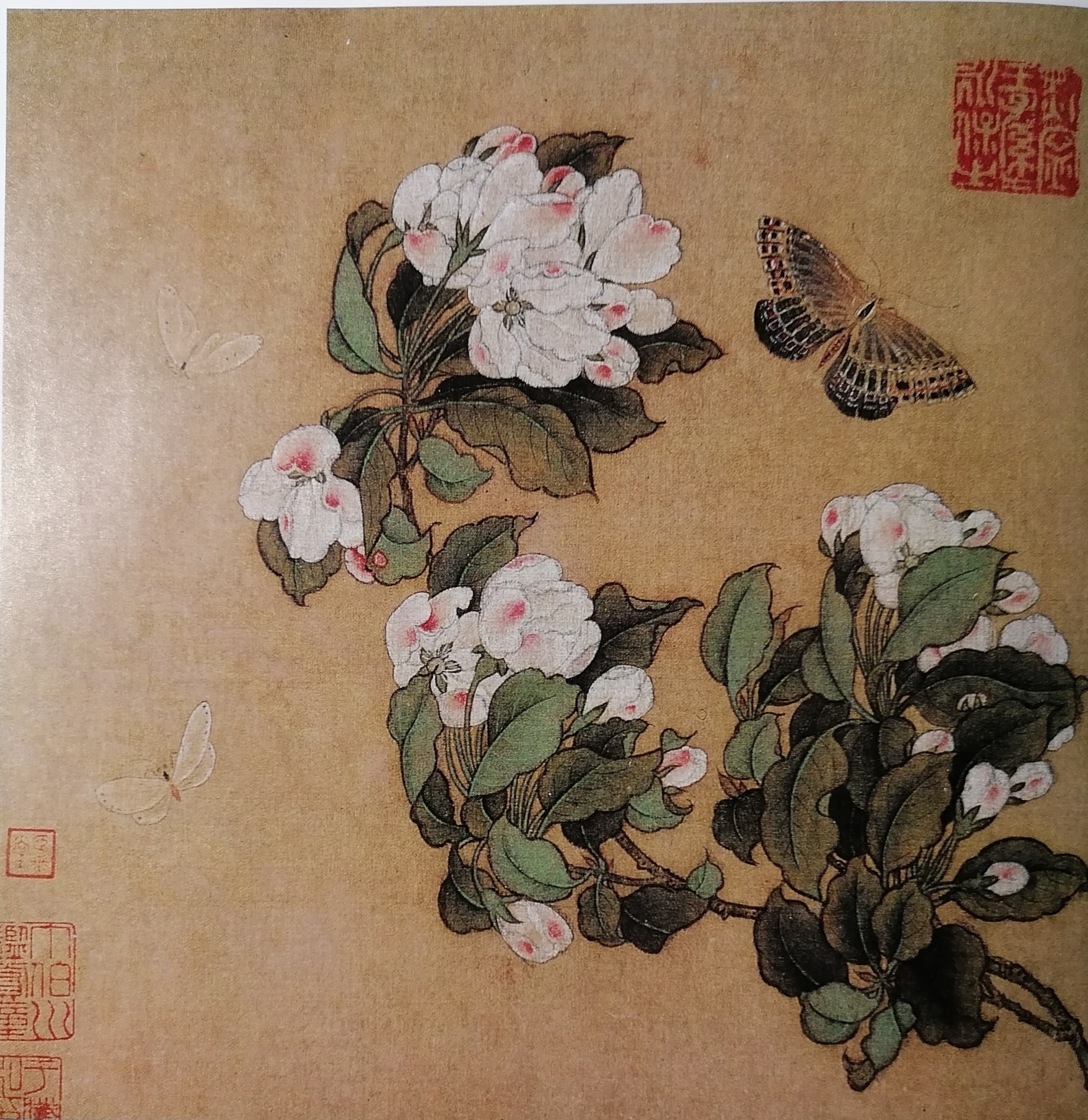 宋《海棠蛱蝶图》（北京故宫博物院藏）