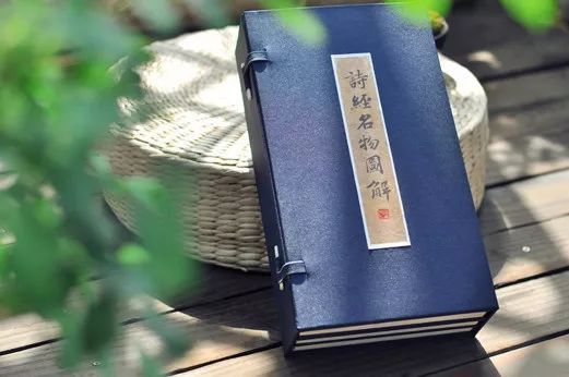 《诗经》里的植物图解（53幅名物彩绘）