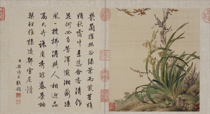 北京故宫博物院藏 郎世宁《花鸟图册》