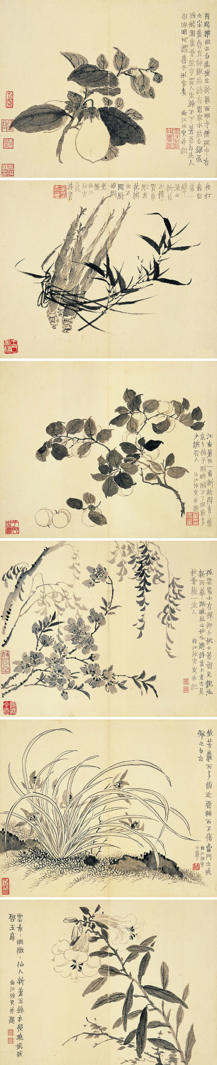 清金农《花果册》