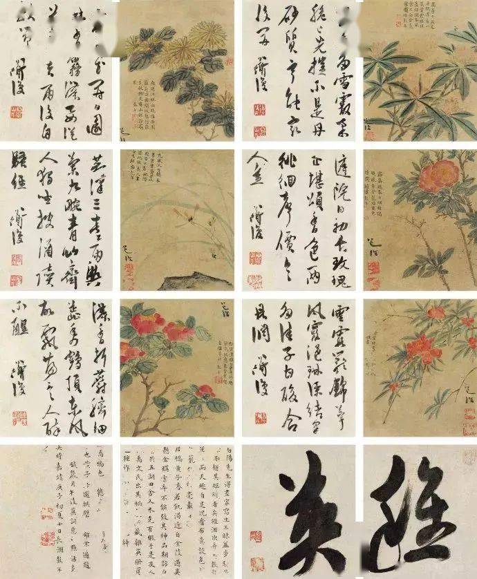 明代绘画大师-陈淳《稚英册》
