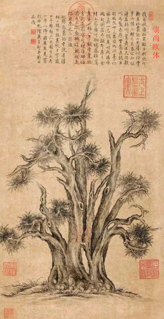 乾隆—嵩阳汉柏图