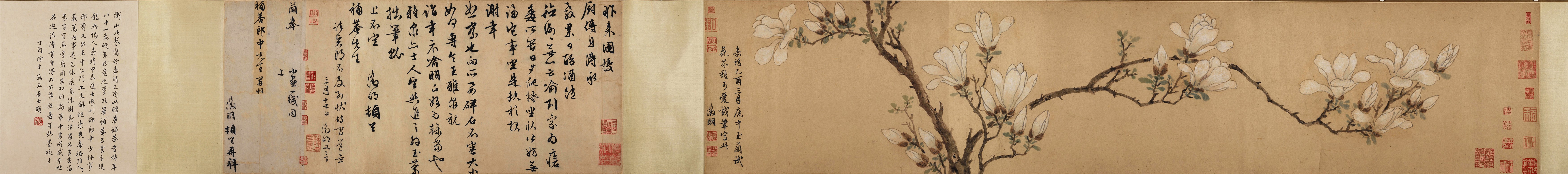 文征明《玉兰图》卷