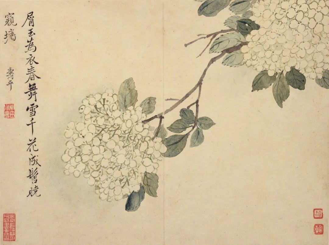 恽寿平《春花图》(一）