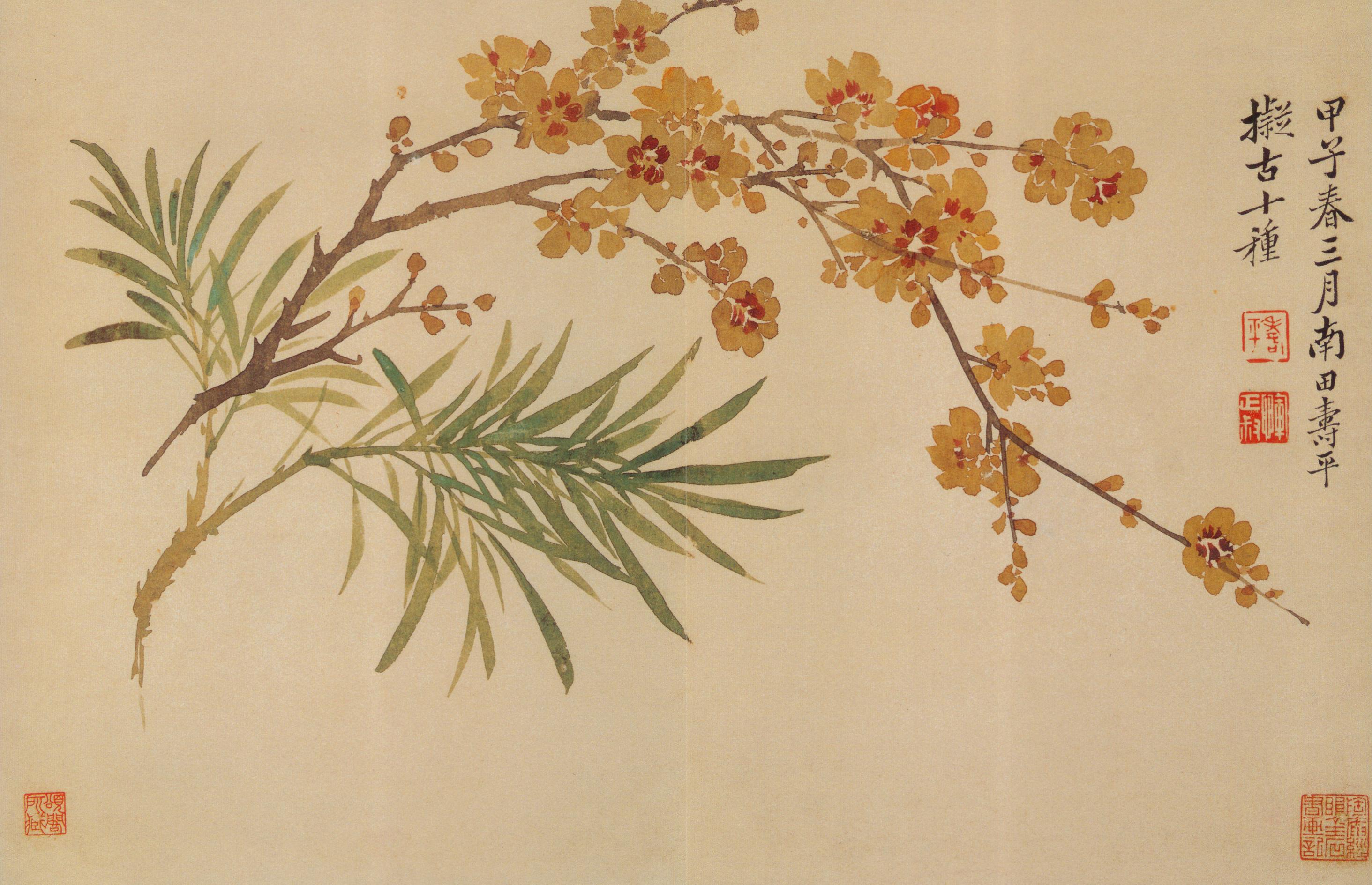 恽寿平：《山水花卉神品》