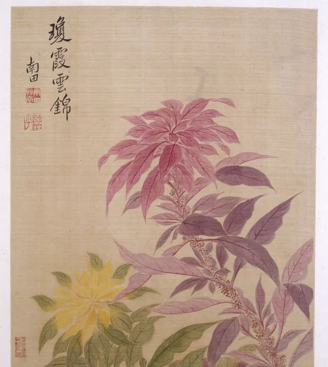 恽寿平《花卉图册》