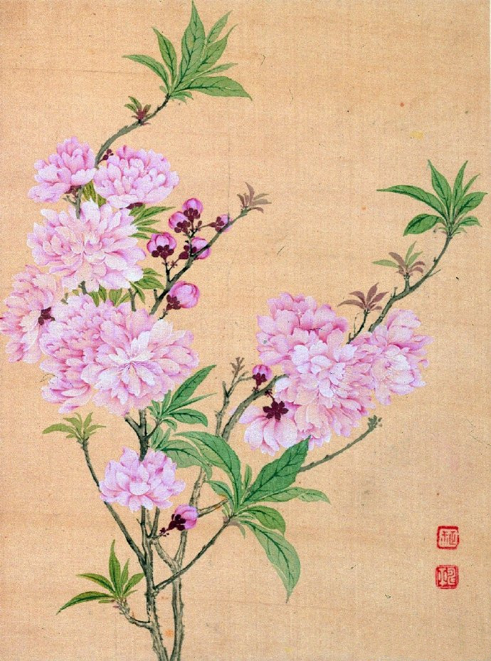 清 恽寿平《花卉图册》 册页（共八帧）