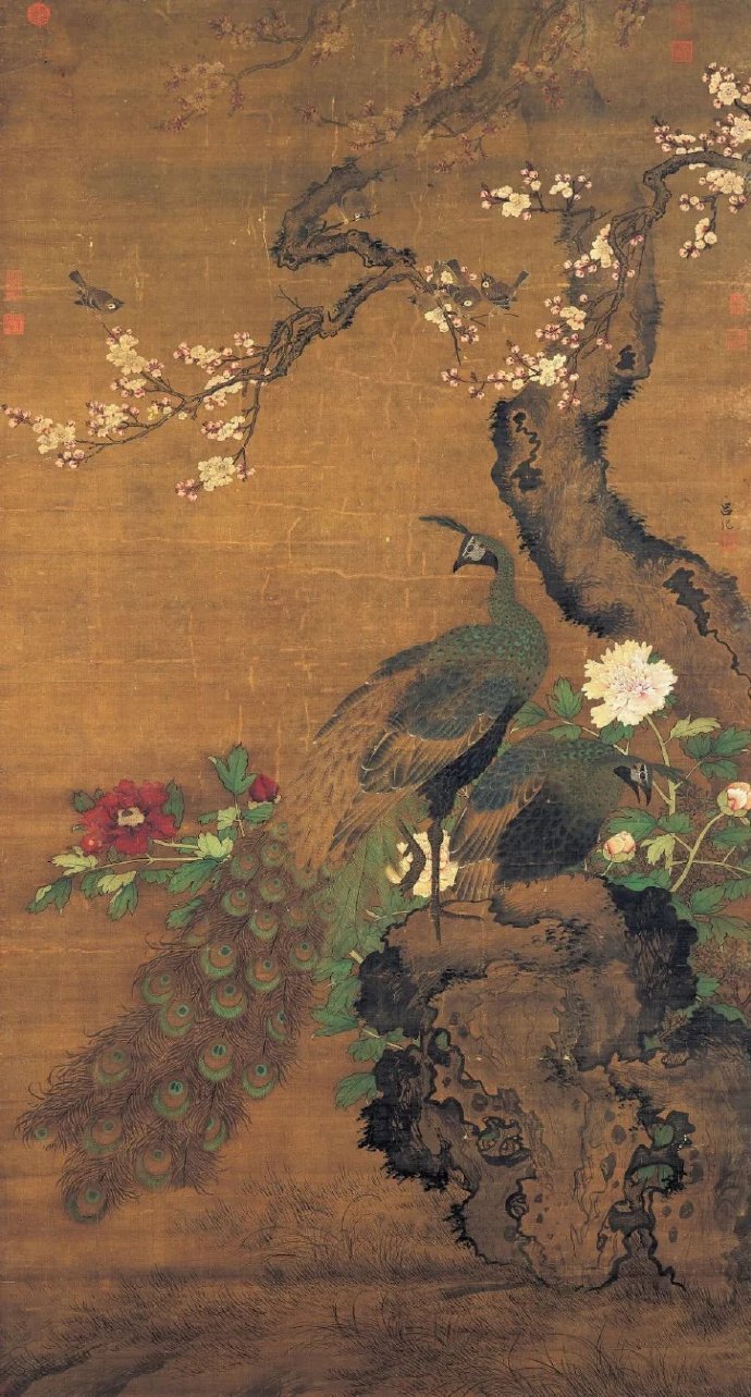 古代画家笔下的孔雀图