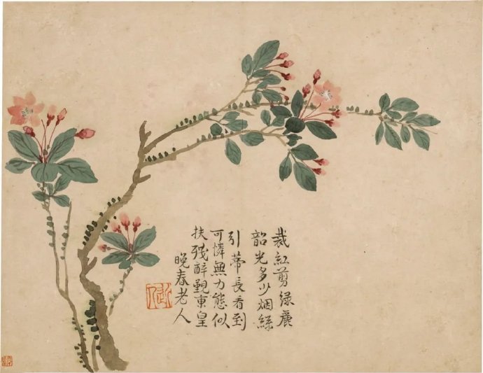 汪士慎花卉图册