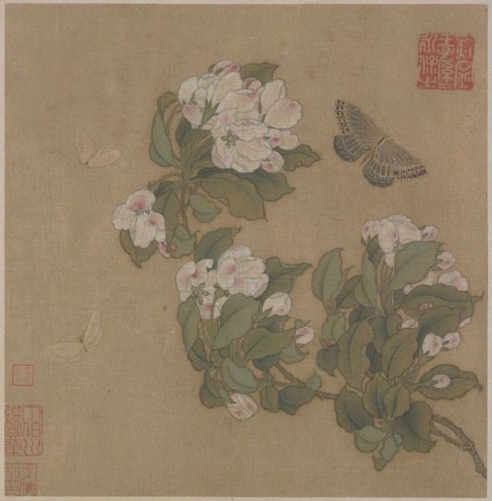 古代书画家所画花中的花信