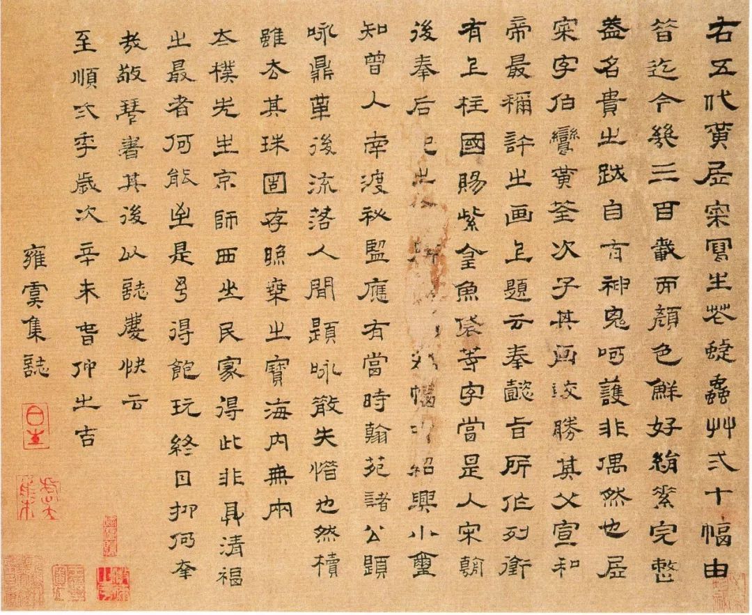 五代 后蜀 黃居寀《花卉写生图册 》