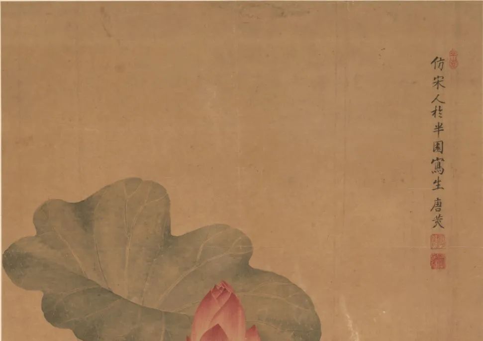 清 唐苂《仿宋人写生莲花图》