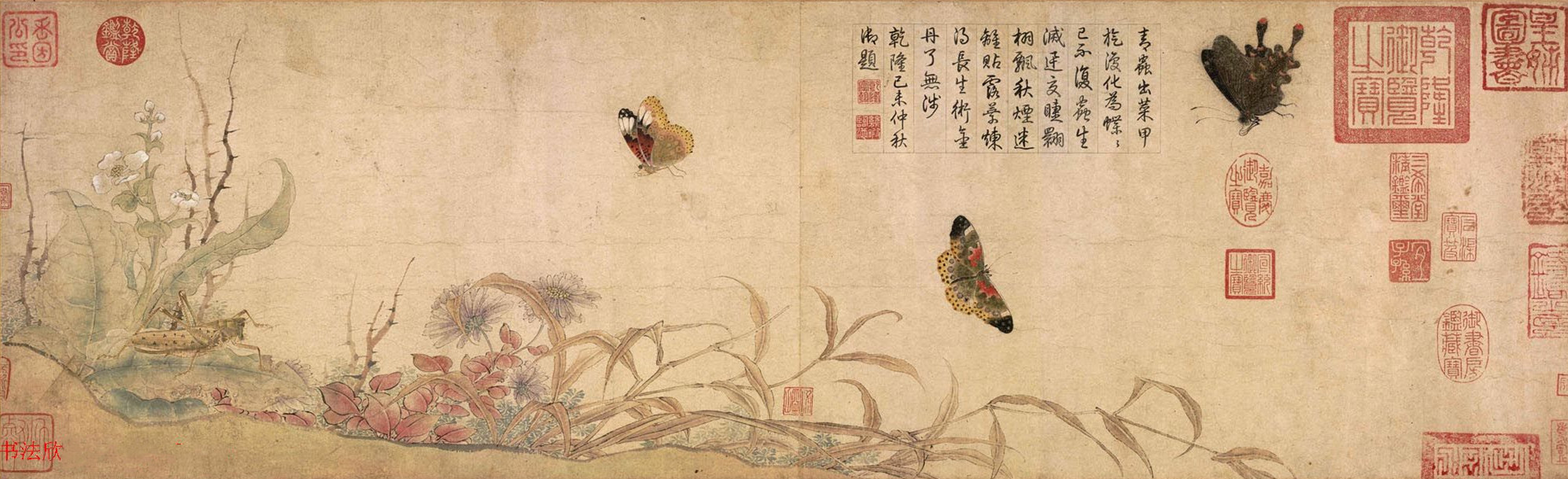 北宋 宫廷画家 赵昌绘画《写生蛱蝶图卷》（故宫博物院藏）