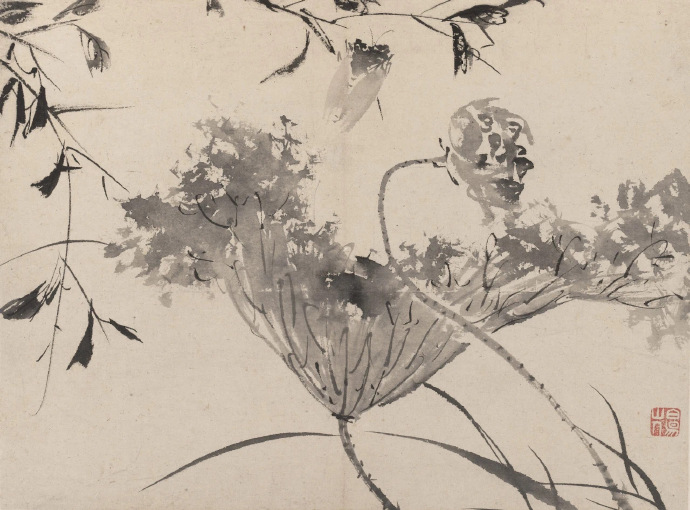 明 陈淳《花卉册》（一）