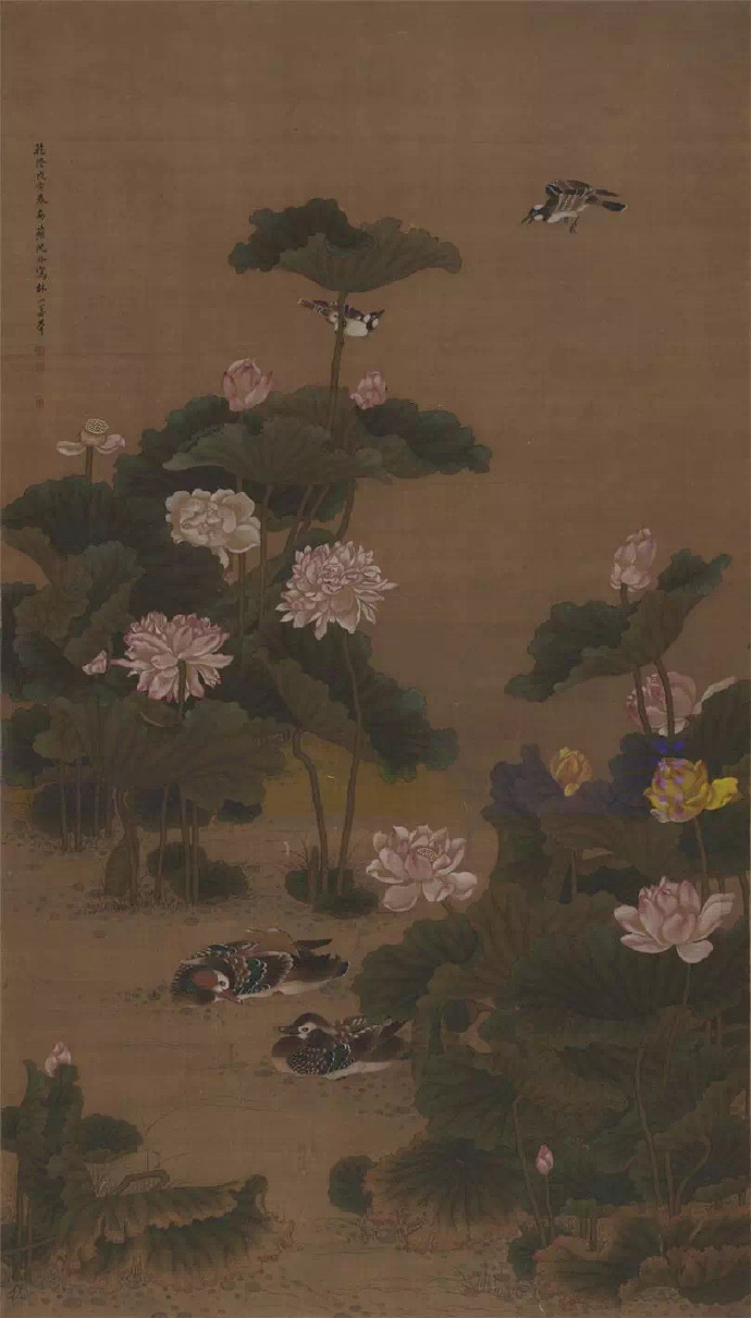 清 沈铨《荷花鸳鸯图》