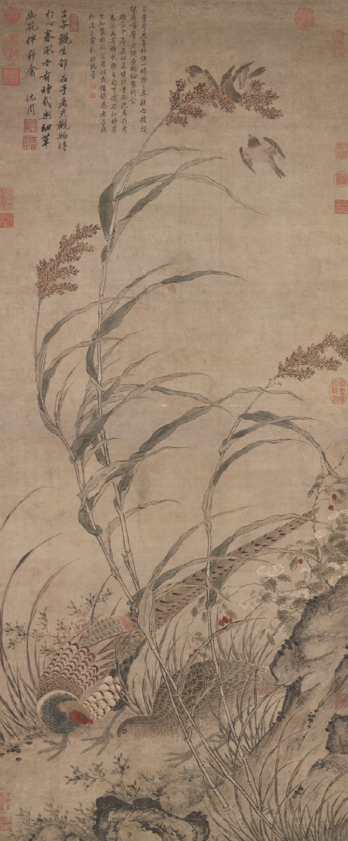 明 吕纪 草花野禽图(传)