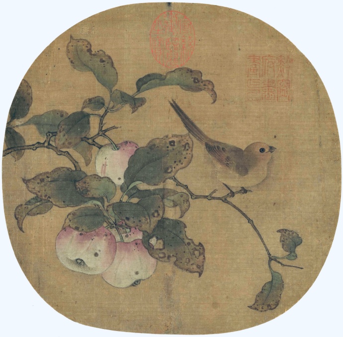 五代 黄筌《苹婆山鸟》
