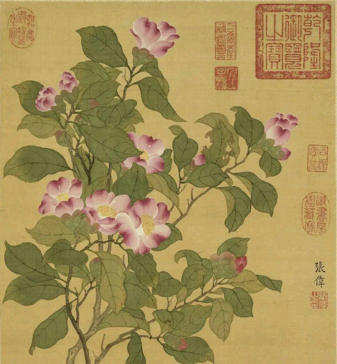 清 张伟 写生花卉册